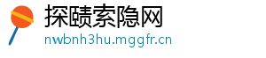 探赜索隐网